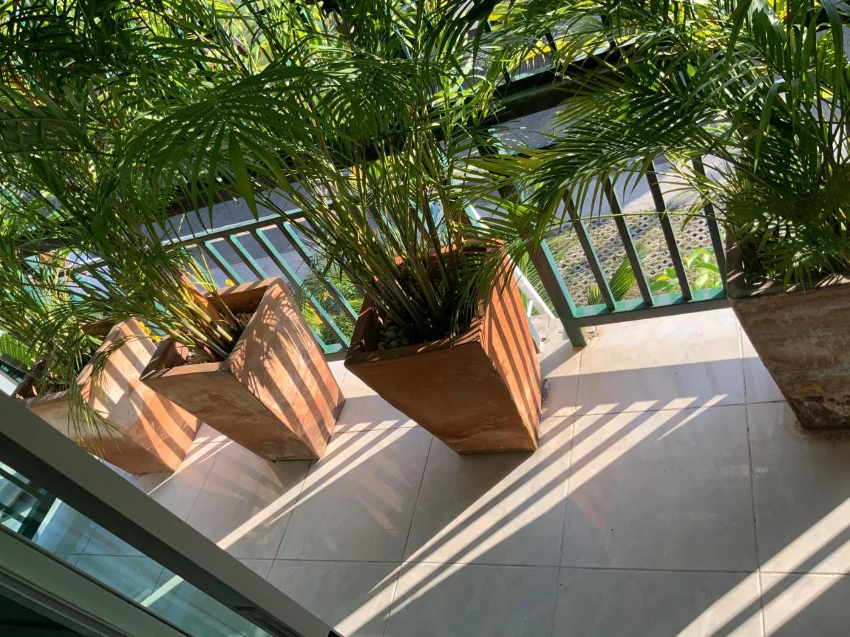 Lemon Guesthouse Chiang Mai Bagian luar foto